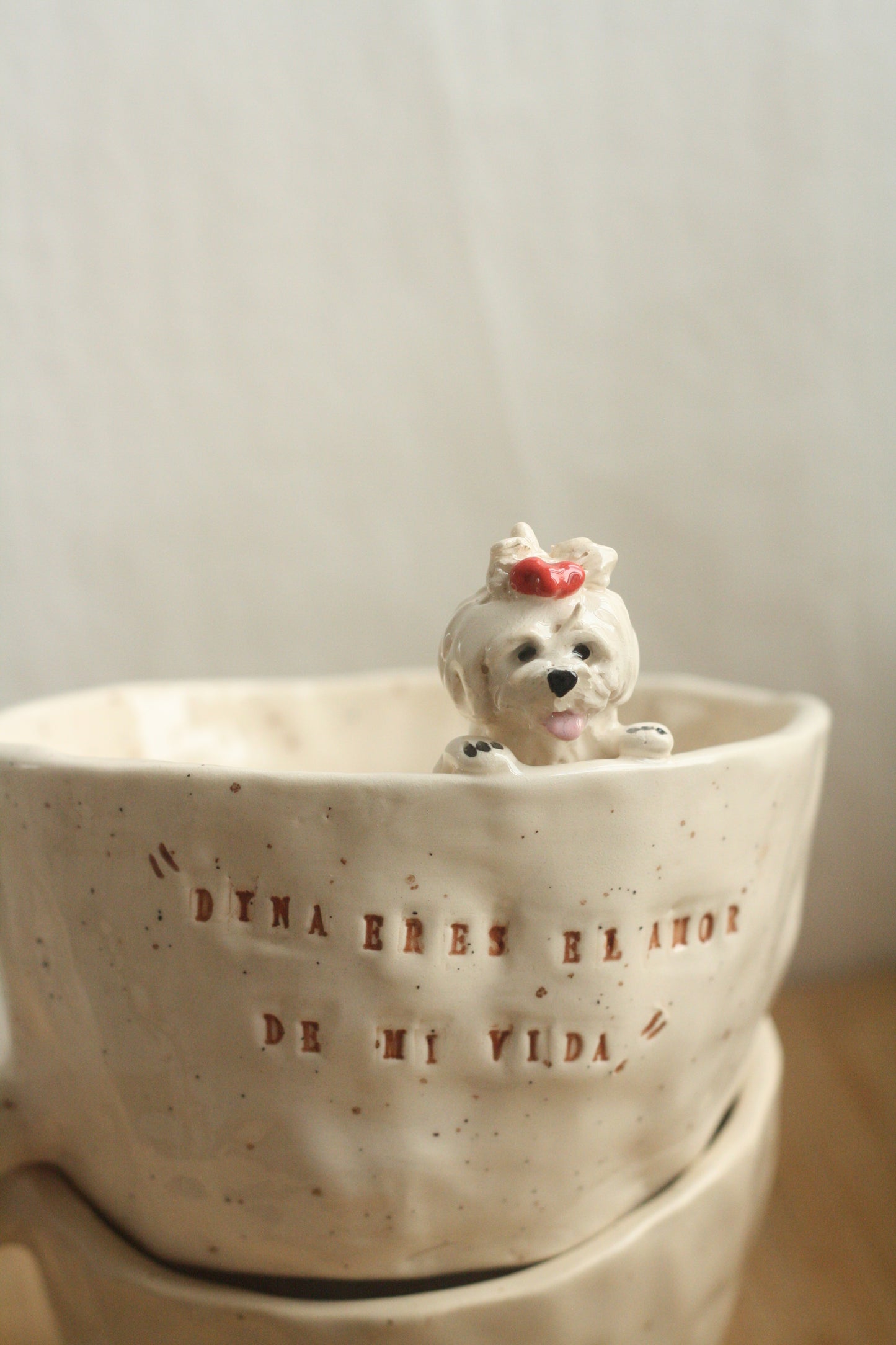 Encargos personalizados de tu mascota