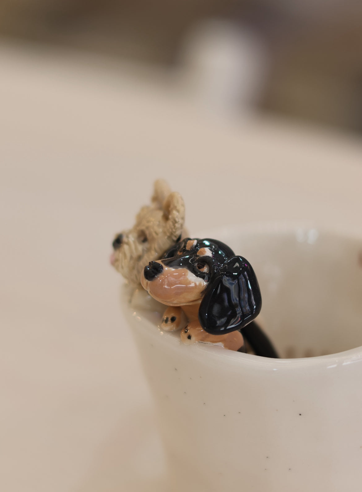 Encargos personalizados de tu mascota